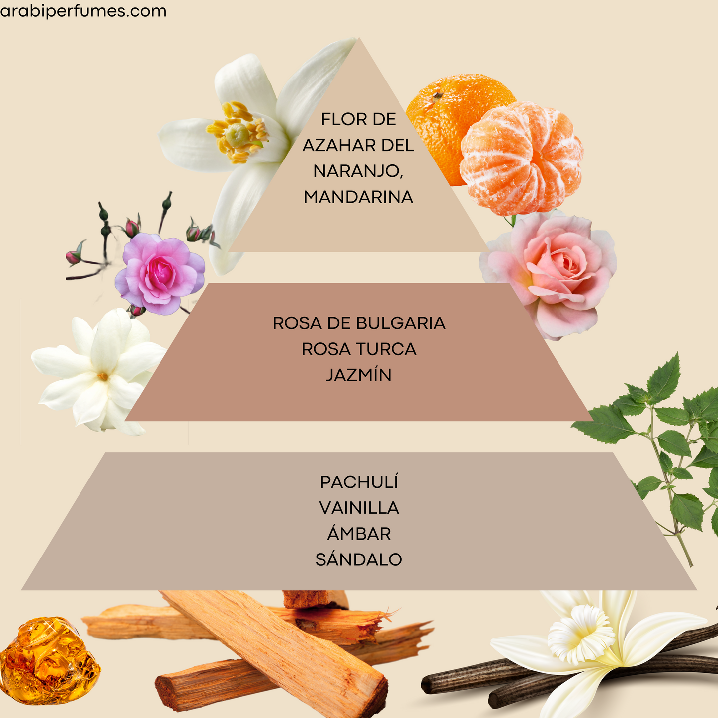 Mazaaji - ArabiPerfumes