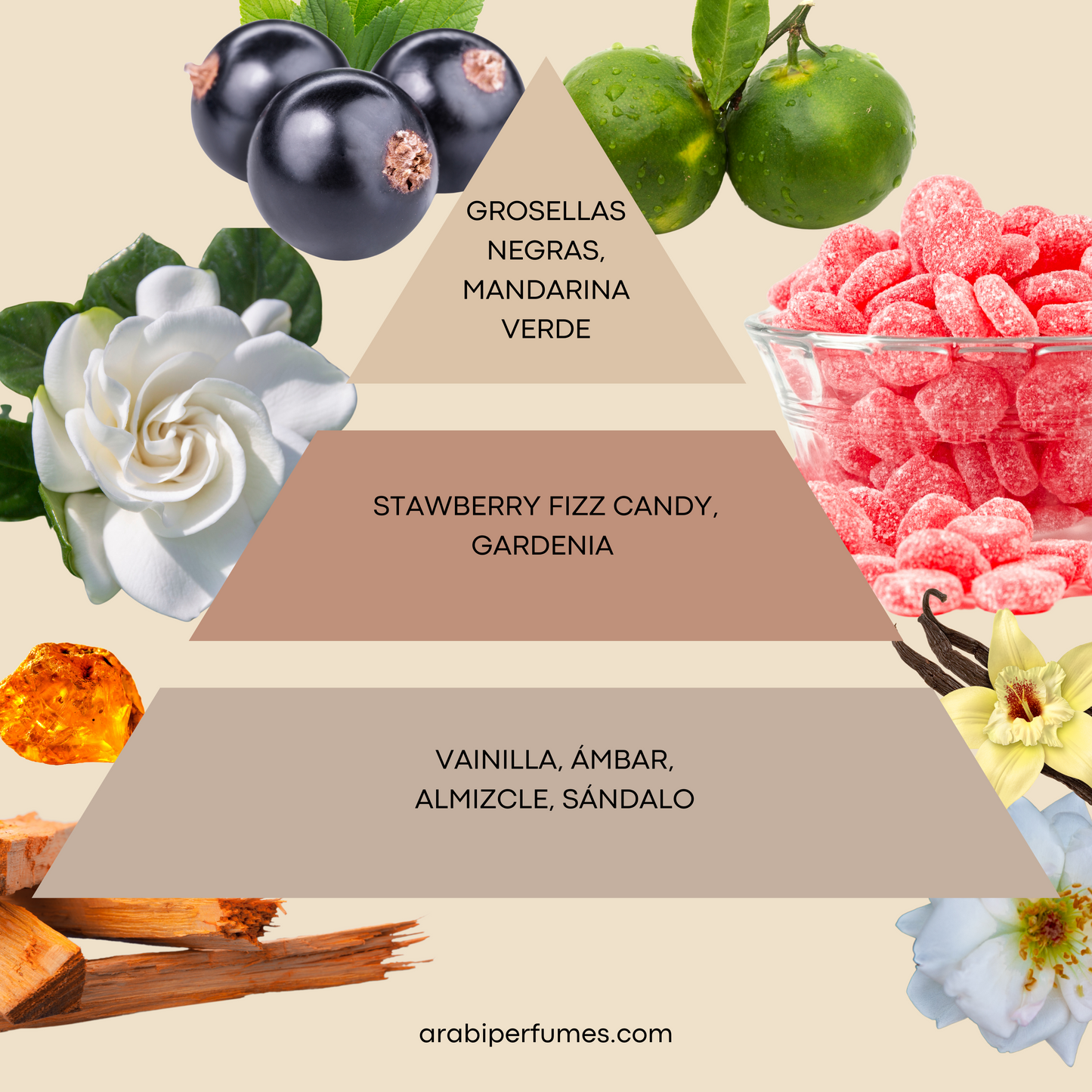 Yara Candy - ArabiPerfumes